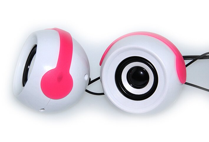 Computer Speaker