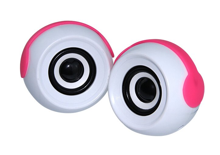 Computer Speaker